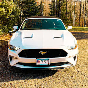 Meet your Posher, Zack